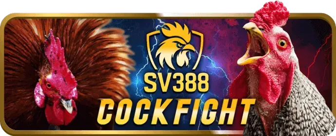 Cơ hội trúng jackpot khủng khi chơi bắn cá 678win.com